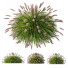 Grass Fountain Hameln Version 03 - Pandora-land