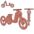 Іграшка Janod Tricycle 2 In 1 - AMA GOL