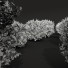 Büsche Neue pflanze hochdetailliert zistrose albidus blume - Pandora-land