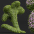 Krzew ozdobny New Plant Bacopa Diffusa Sutera - Pandora-land