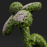 Krzew ozdobny New Plant Bacopa Diffusa Sutera - Pandora-land
