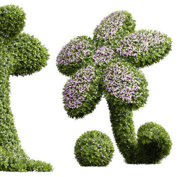 Dekorativer Busch Neue pflanze hochdetailliert bacopa diffusa sutera