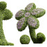 Krzew ozdobny New Plant Bacopa Diffusa Sutera - Pandora-land