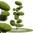 Baum Neue pflanze ficus concinna bonsai 02 - Pandora-land
