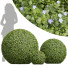 Büsche Sutera Bacopa Diffusa Kugel - Pandora-land