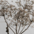 Dekor Rustic Style - Levitskiy_Igor