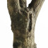 Baum Mit Mistelzweig - Levitskiy_Igor