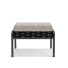 Osmanisch Roberti Rattan Capri - Content-GC