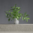 Blumenstrauß Vase mit Blättern - vizz.n3d