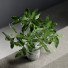 Blumenstrauß Vase mit Blättern - vizz.n3d