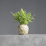 Bukiet Plant in Pot - vizz.n3d