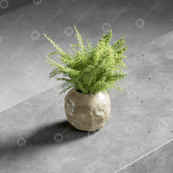 Bukiet Plant in Pot model 3D