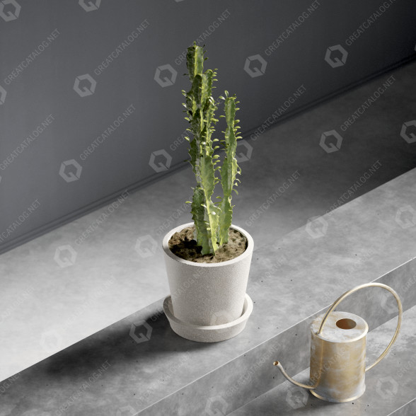 Cactus In Pot Modelo 3D