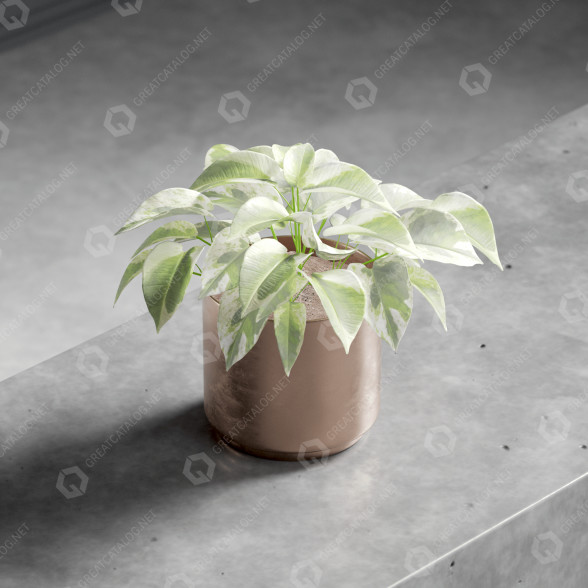 Ramo Planta en maceta Modelo 3D