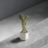 Cactus In Vase - vizz.n3d