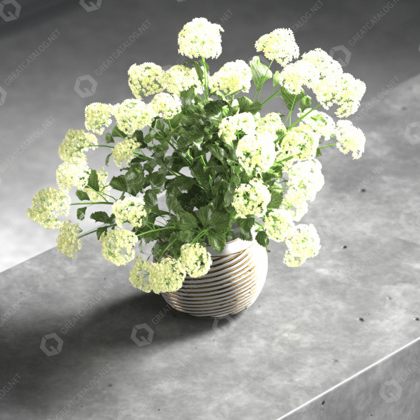 Bukiet Flowers in Vase model 3D