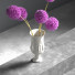 Blumenstrauß Lauch in Vase - vizz.n3d
