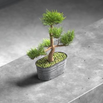 Bonsái Planta y musgo en maceta Modelo 3D
