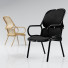 Sessel Frame - carrotshepard