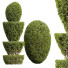 Büsche Neue pflanze ficus concinna bonsai 04 - Pandora-land