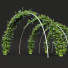 Żywopłot New Plant Ceratostigma Plumbaginoides Bleiwurz Decorative - Pandora-land