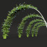 Żywopłot New Plant Ceratostigma Plumbaginoides Bleiwurz Decorative - Pandora-land