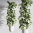 Plantes en pot Ensemble intérieur 043 - nasrinrad