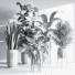Plantes en pot Ensemble intérieur 043 - nasrinrad