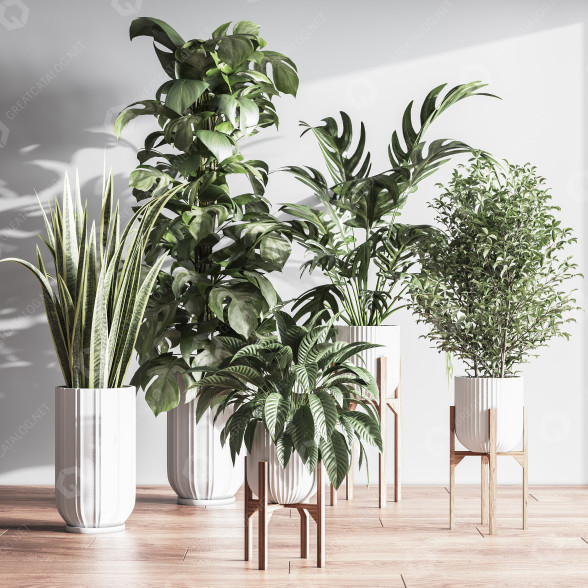 Plantes en pot Ensemble intérieur 043 modèle 3D