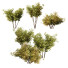 Krzewy HQ Plants Small - Pandora-land