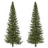 Árboles Abies - DmytroSer