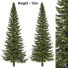 Árboles Abies - DmytroSer