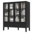 Bücherregal und Bücher IKEA Idanas - DmytroSer