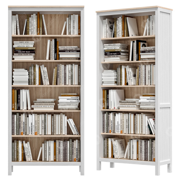 Полиці та книги IKEA Hemnes 3D модель