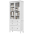 Cabinet et livres IKEA Hemnes - DmytroSer