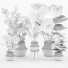 Plantas en macetas Conjunto 01 - farshidtavakoli