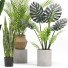 Plantas en macetas Conjunto 03 - farshidtavakoli