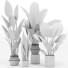 Plantas en macetas Conjunto 03 - farshidtavakoli