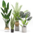 Plantas en macetas Conjunto 03 - farshidtavakoli