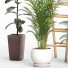 Plantas en macetas Conjunto de plantas de interior 06 - farshidtavakoli