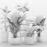 Plantas en macetas Conjunto de plantas de interior 06 - farshidtavakoli