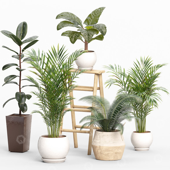 Plantas en macetas Conjunto de plantas de interior 06 Modelo 3D