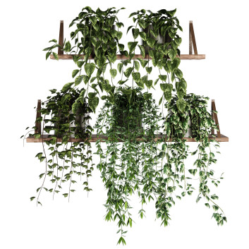 Rośliny doniczkowe  Indoor Shelf Set 39 Model 3D