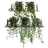 Potted Plants Indoor Shelf Set 39 - milad-rahimi