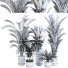 Растения в горшках Комнатные том 25 - design.sabori-35949