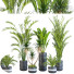 Растения в горшках Комнатные том 25 - design.sabori-35949