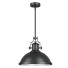 Підвісний світильник Hunsinger 1 Light - Ginex