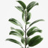 Planta en maceta Interior 08 - farshidtavakoli