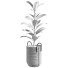 Planta en maceta Interior 08 - farshidtavakoli