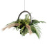Rośliny doniczkowe Indoor Hanging Set 42 - milad-rahimi